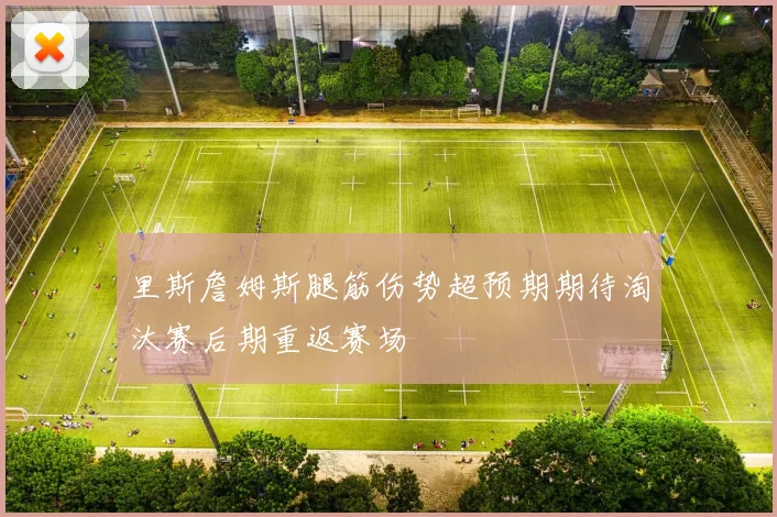 里斯詹姆斯腿筋伤势超预期期待淘汰赛后期重返赛场